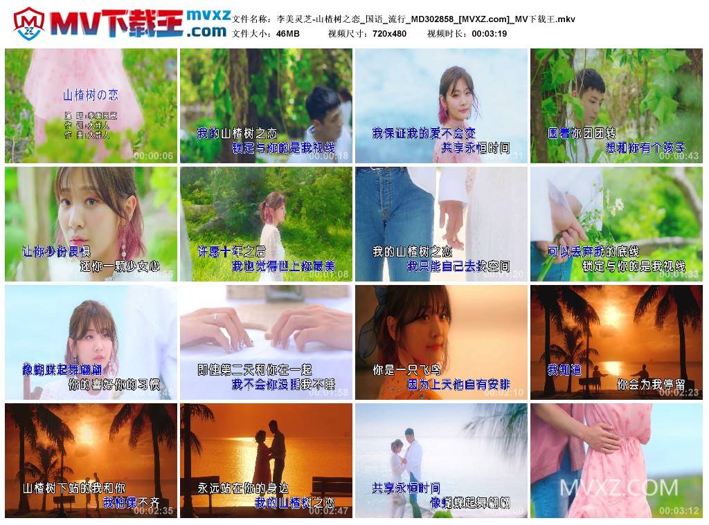 李美灵芝-山楂树之恋_国语_流行_MD302858